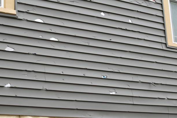 Best Stucco Siding  in Sultan, WA