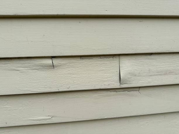 Best Engineered Wood Siding  in Sultan, WA